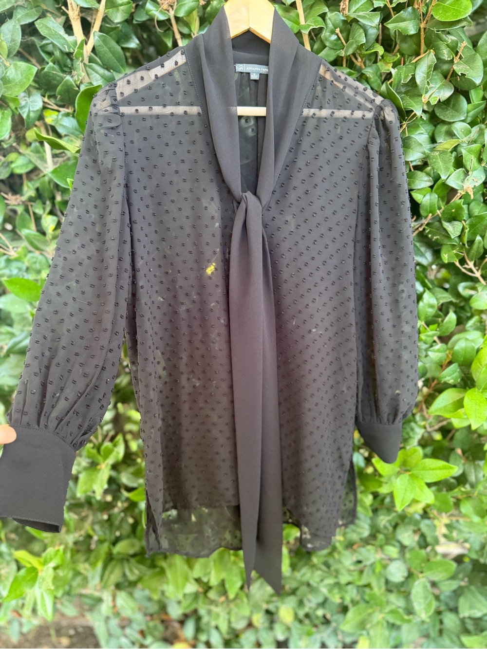 Adrianna Papell Black Sheer Tie-Neck Blouse